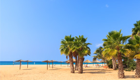 <p>Sfeerbeeld van Boa Vista</p>